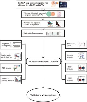 A necroptosis-related lncRNA signature was identified to predict the prognosis and immune microenvironment of IDH-wild-type GBM